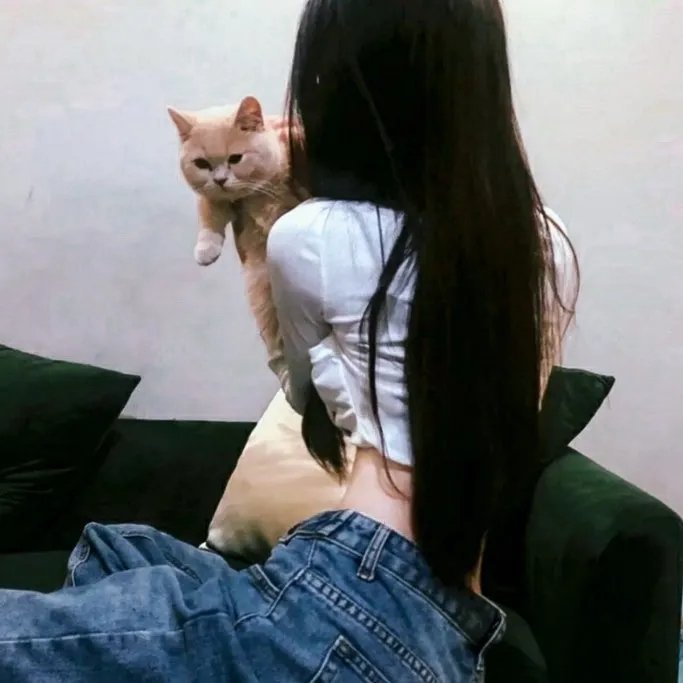 征服者佩尔
